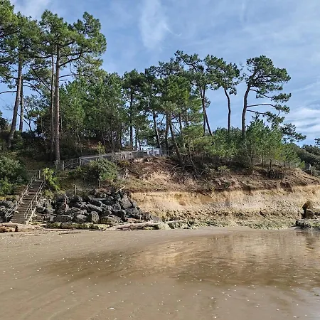 Les Petites Vagues -